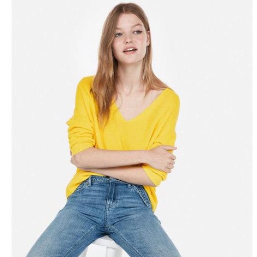 EXPRESS Cotton Shaker Knit V-Neck Sweater